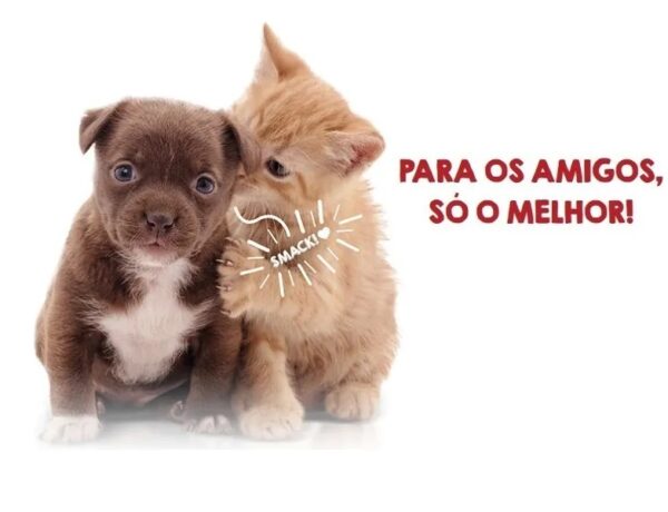 Tapete Higiênico Sanol Dog P/ Cães Com Atrativo Canino 30un - Imagem 4
